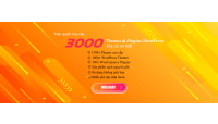 THEME VÀ PLUGIN NÀO LÀ TỐT NHẤT?
