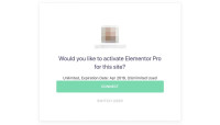 Elementor Pro license key