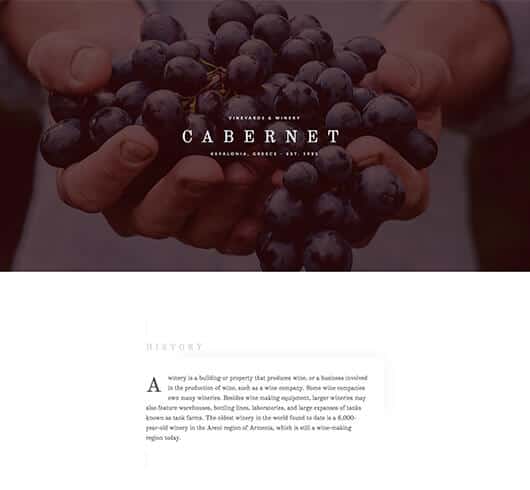 Elementorism Cabernet