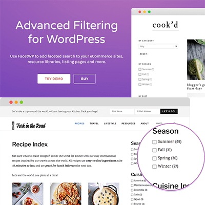 FacetWP – Advanced Filtering For WordPress