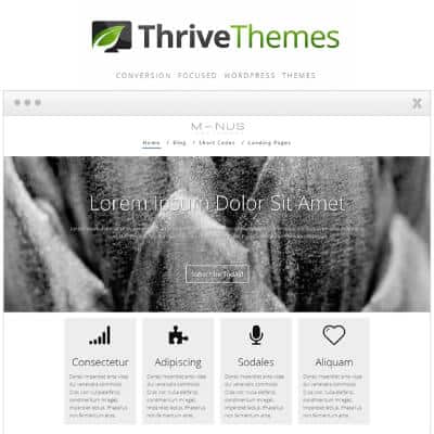 Thrive Themes Minus WordPress Theme