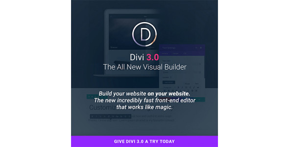 Elegant Themes Divi WordPress Theme