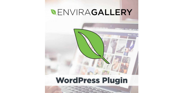 Envira Gallery Pagination Addon