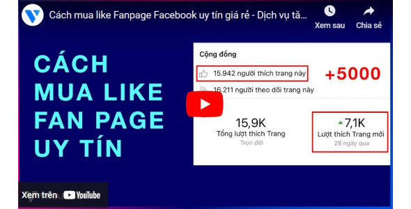 MUA LIKE FANPAGE GIÁ RẺ