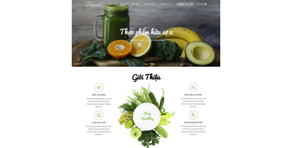 Theme wordpress thực phẩm hữu cơ