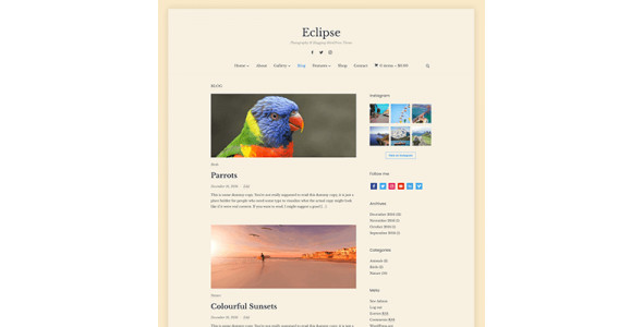 WPZoom Eclipse WordPress Theme